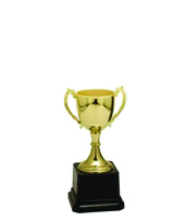 Small Gold Trophie