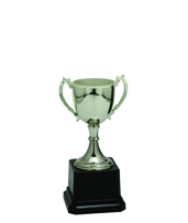 Small Silver Trophie